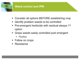 © All rights reserved to Makhteshim Agan
Weed control and IPM
 Consider all options BEFORE establishing crop
 Identify problem weeds to be controlled
 Pre-emergent herbicide with residual always 1st
option
 Grass weeds easily controlled post emergent
 Flushes
 Follow on crops
 Resistance
 