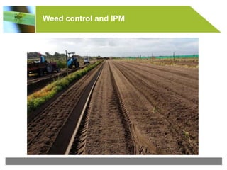 © All rights reserved to Makhteshim Agan
Weed control and IPM
Pre-emergent herbicides:
 Fine, firm seedbed free of clots and excessive
organic material
 Adhere to clay % rates
 Irrigation after application
 