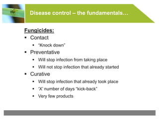 © All rights reserved to Makhteshim Agan
Disease control – the fundamentals…
Fungicides:
 Contact
 “Knock down”
 Preventative
 Will stop infection from taking place
 Will not stop infection that already started
 Curative
 Will stop infection that already took place
 ‘X’ number of days “kick-back”
 Very few products
 