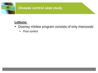 © All rights reserved to Makhteshim Agan
Disease control case study
Lettuce:
 Downey mildew program consists of only mancozeb
 Poor control
 
