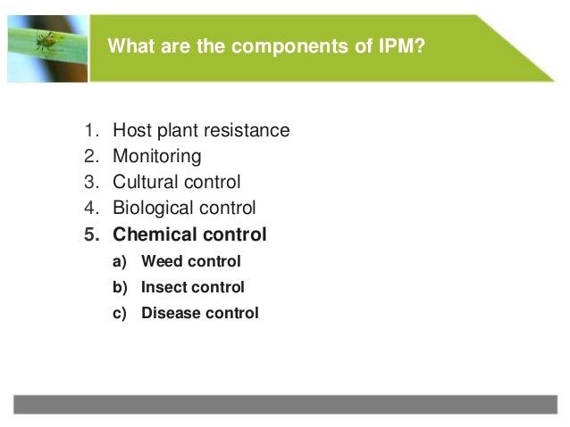 Integrated Pest Management Ipm