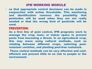 IPM WORKING MODULE
• so that appropriate control decisions can be made in
conjunction with action thresholds. This monitoring
and identification removes the possibility that
pesticides will be used when they are not really
needed or that the wrong kind of pesticide will be
used.
PREVENTION:
As a first line of pest control, IPM programs work to
manage the crop, lawn, or indoor space to prevent
pests from becoming a threat. In an agricultural crop,
this may mean using cultural methods, such as
rotating between different crops, selecting pest-
resistant varieties, and planting pest-free rootstock.
These control methods can be very effective and cost-
efficient and present little to no risk to people or the
environment.
 