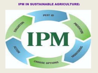 IPM IN SUSTAINABLE AGRICULTURE:
 