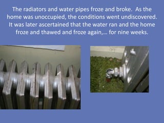 The radiators and water pipes froze and broke. As the
home was unoccupied, the conditions went undiscovered.
 It was later ascertained that the water ran and the home
    froze and thawed and froze again,… for nine weeks.
 