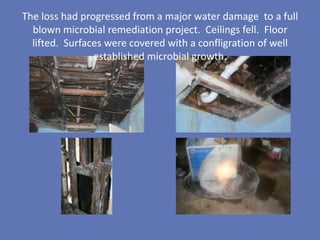 The loss had progressed from a major water damage to a full
  blown microbial remediation project. Ceilings fell. Floor
  lifted. Surfaces were covered with a confligration of well
                established microbial growth.
 