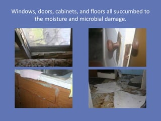Windows, doors, cabinets, and floors all succumbed to
       the moisture and microbial damage.
 