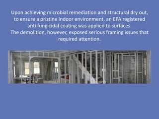 Upon achieving microbial remediation and structural dry out,
 to ensure a pristine indoor environment, an EPA registered
       anti fungicidal coating was applied to surfaces.
The demolition, however, exposed serious framing issues that
                      required attention.
 