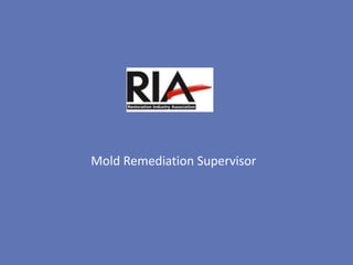 Mold Remediation Supervisor
 