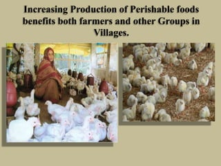 Increasing Production of Perishable foods
benefits both farmers and other Groups in
Villages.

 