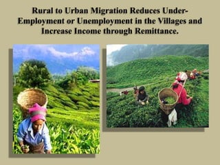 Rural to Urban Migration Reduces UnderEmployment or Unemployment in the Villages and
Increase Income through Remittance.

 