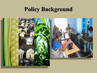Policy Background

 