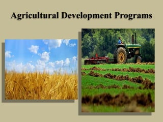 Agricultural Development Programs

 