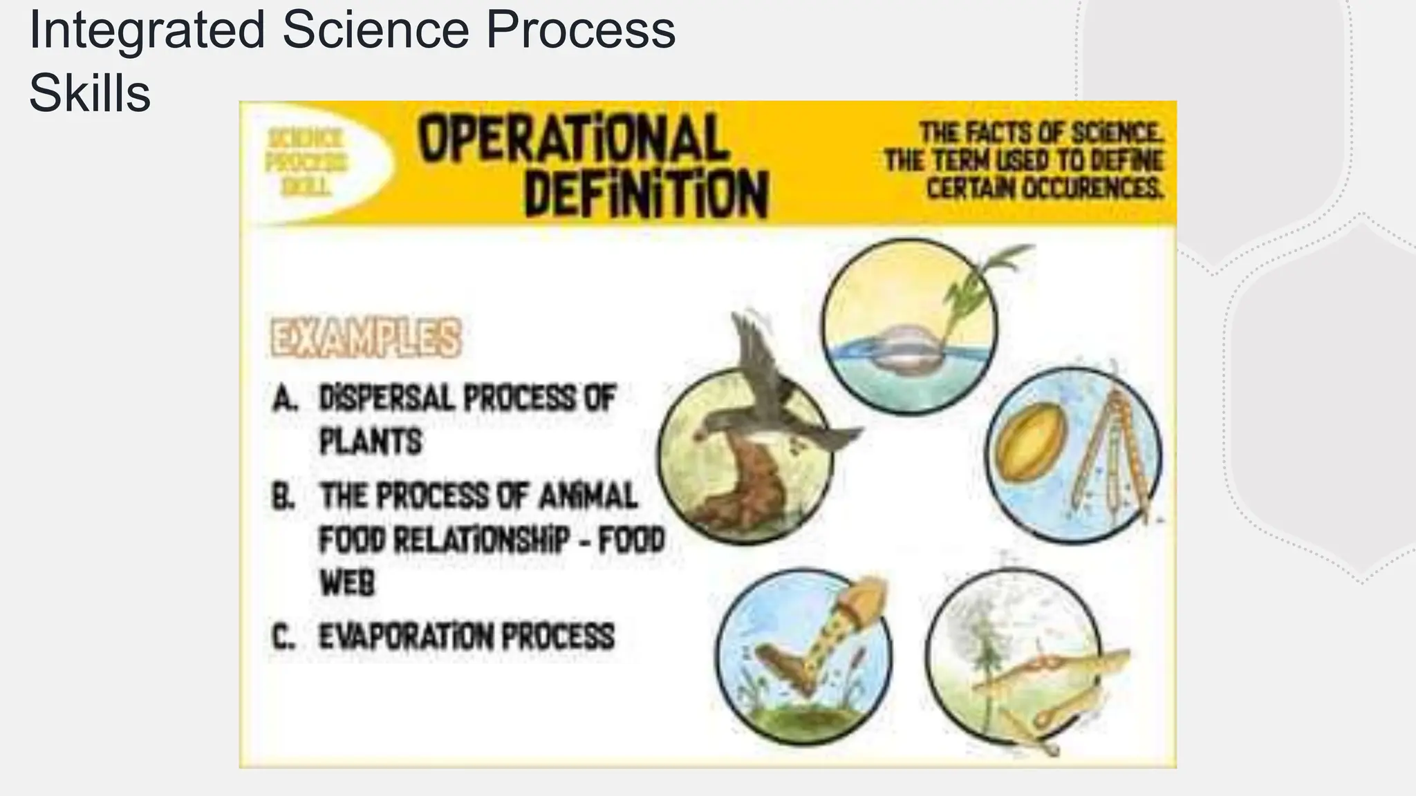 Integrated Science Process Skills_2023.pptx | Physics | Science