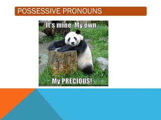 POSSESSIVE PRONOUNS
 