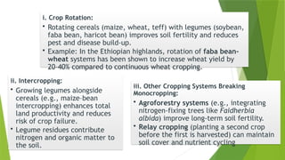 Faba Examples Integrated soil fertility management (ISFM).pptx