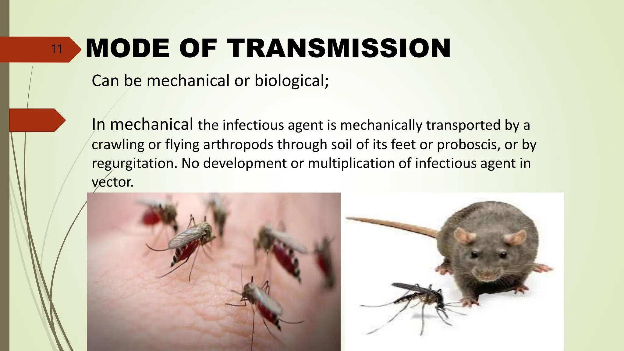 MODE OF TRANSMISSION
Can be mechanical or biological;
In mechanical the infectious agent is mechanically transported by a
crawling or flying arthropods through soil of its feet or proboscis, or by
regurgitation. No development or multiplication of infectious agent in
vector.
11
 