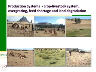 Production Systems - crop-livestock system,
overgrazing, feed shortage and land degradation
 