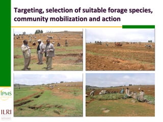 Targeting, selection of suitable forage species,
community mobilization and action
 