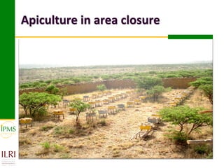 Apiculture in area closure
 