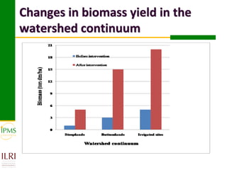 Changes in biomass yield in the
watershed continuum
 