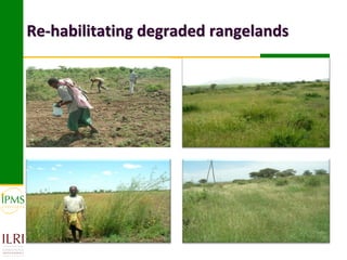 Re-habilitating degraded rangelands
 