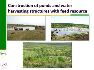 Construction of ponds and water
harvesting structures with feed resource
 