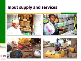 Input supply and services
 