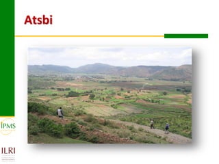 Atsbi
 