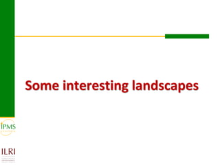 Some interesting landscapes
 