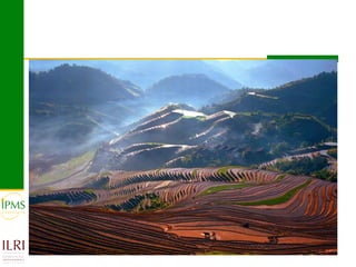 Market-oriented livestock production and sustainable watershed management in Astbi and Mieso Districts, Ethiopia: IPMS experience 