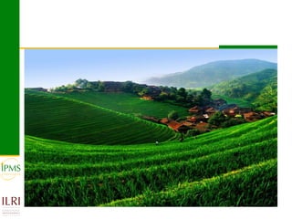 Market-oriented livestock production and sustainable watershed management in Astbi and Mieso Districts, Ethiopia: IPMS experience 