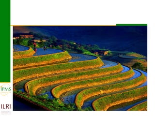 Market-oriented livestock production and sustainable watershed management in Astbi and Mieso Districts, Ethiopia: IPMS experience 