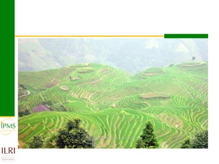 Market-oriented livestock production and sustainable watershed management in Astbi and Mieso Districts, Ethiopia: IPMS experience 