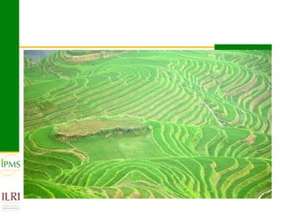 Market-oriented livestock production and sustainable watershed management in Astbi and Mieso Districts, Ethiopia: IPMS experience 