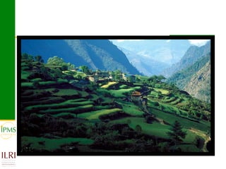 Market-oriented livestock production and sustainable watershed management in Astbi and Mieso Districts, Ethiopia: IPMS experience 