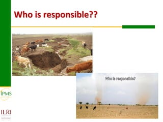 Market-oriented livestock production and sustainable watershed management in Astbi and Mieso Districts, Ethiopia: IPMS experience 