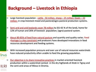 Market-oriented livestock production and sustainable watershed management in Astbi and Mieso Districts, Ethiopia: IPMS experience 
