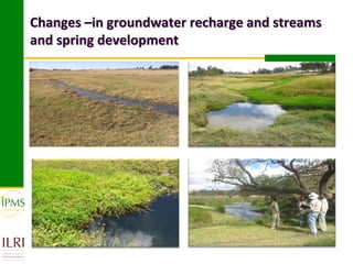 Market-oriented livestock production and sustainable watershed management in Astbi and Mieso Districts, Ethiopia: IPMS experience 