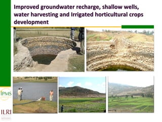 Market-oriented livestock production and sustainable watershed management in Astbi and Mieso Districts, Ethiopia: IPMS experience 