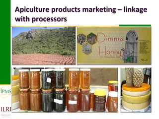 Market-oriented livestock production and sustainable watershed management in Astbi and Mieso Districts, Ethiopia: IPMS experience 