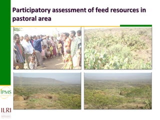 Market-oriented livestock production and sustainable watershed management in Astbi and Mieso Districts, Ethiopia: IPMS experience 
