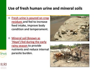 Market-oriented livestock production and sustainable watershed management in Astbi and Mieso Districts, Ethiopia: IPMS experience 