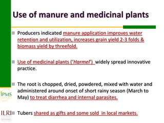 Market-oriented livestock production and sustainable watershed management in Astbi and Mieso Districts, Ethiopia: IPMS experience 