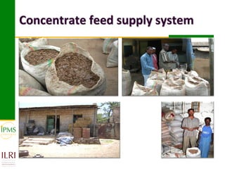 Market-oriented livestock production and sustainable watershed management in Astbi and Mieso Districts, Ethiopia: IPMS experience 