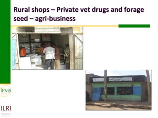 Market-oriented livestock production and sustainable watershed management in Astbi and Mieso Districts, Ethiopia: IPMS experience 