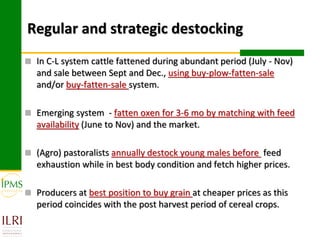 Market-oriented livestock production and sustainable watershed management in Astbi and Mieso Districts, Ethiopia: IPMS experience 