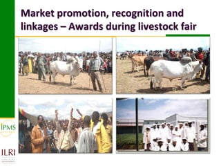 Market-oriented livestock production and sustainable watershed management in Astbi and Mieso Districts, Ethiopia: IPMS experience 