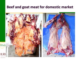 Market-oriented livestock production and sustainable watershed management in Astbi and Mieso Districts, Ethiopia: IPMS experience 