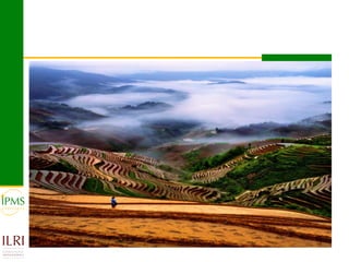 Market-oriented livestock production and sustainable watershed management in Astbi and Mieso Districts, Ethiopia: IPMS experience 