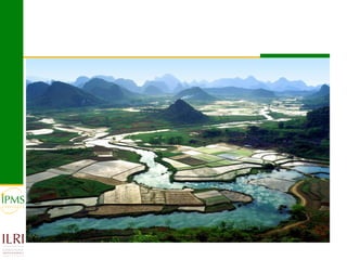 Market-oriented livestock production and sustainable watershed management in Astbi and Mieso Districts, Ethiopia: IPMS experience 